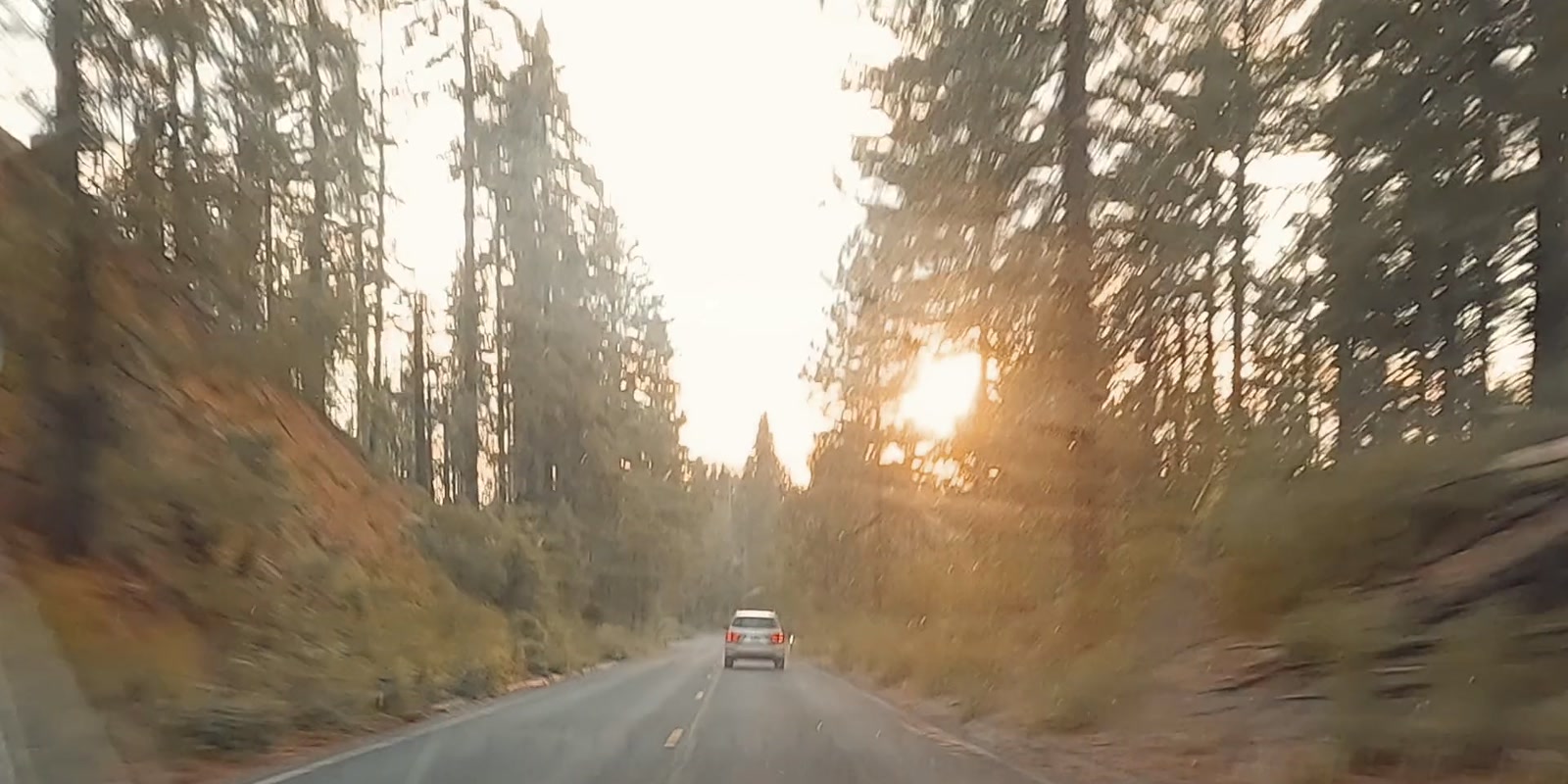 Road test with a lead vehicle on a forest road